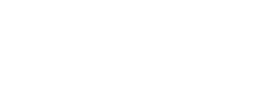 Atlassian - Platinum Solution Partner Logo - Knockout